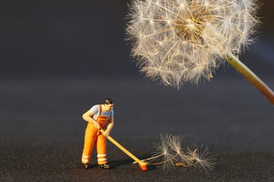 Tips For Buying Janitorial Products image