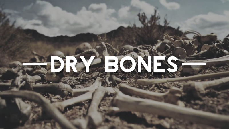 WHO AM I SERIES: DRY BONES