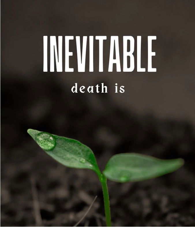 DEATH IS INEVITABLE