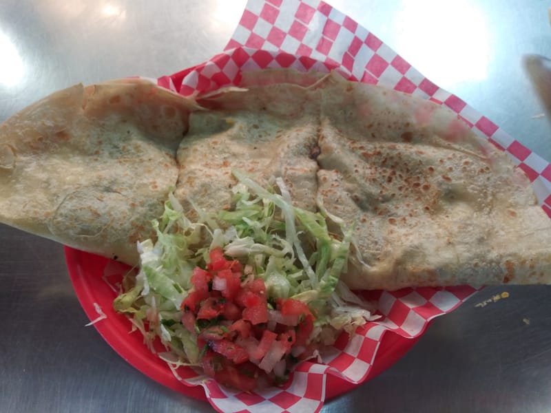 Carne Asada Quesadilla