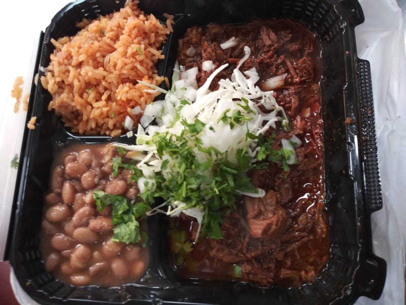 Birria Plate