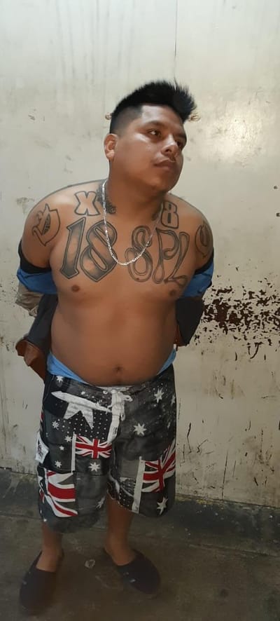 Capturado Homie Brincado