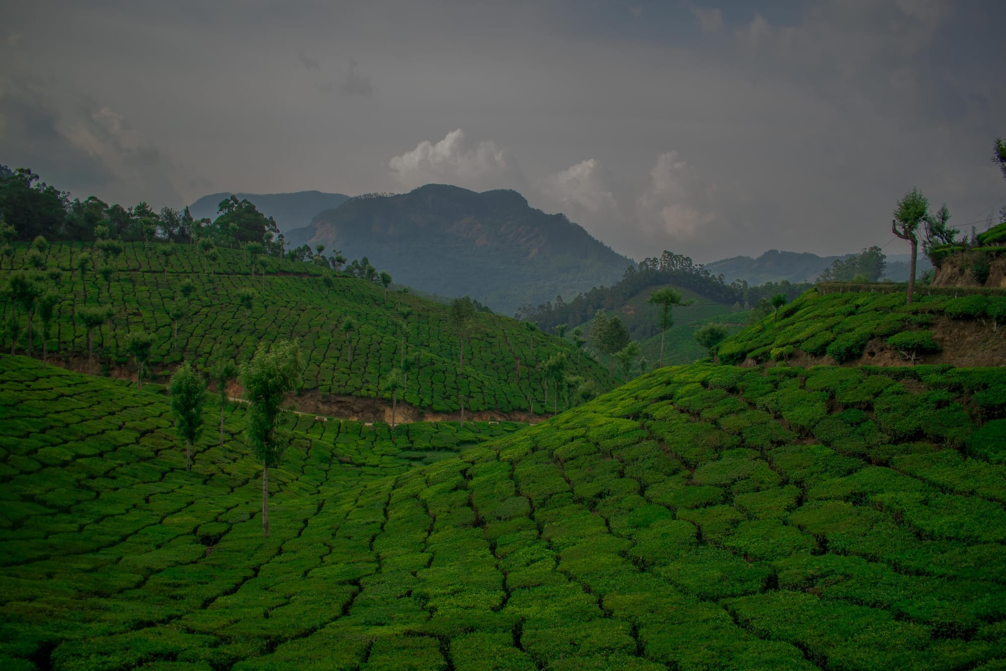 Famous Hill stations - Tamilnadu