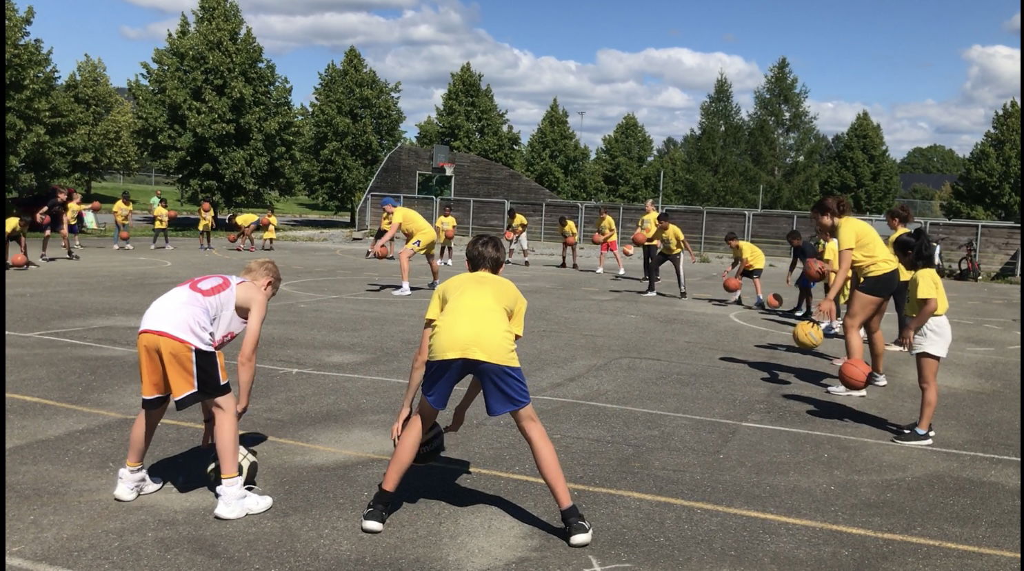 Basketungdomstrenere fra Asker Aliens ønskes til Camp Borgen i sommer!