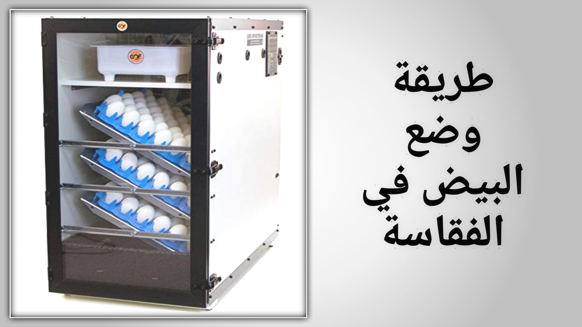 الطريقة الصحيحة لتفقيس البيض في الفقاسة