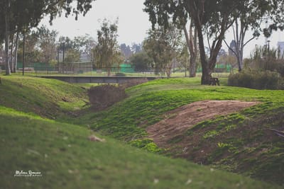 לוח שיעורים שבועי image