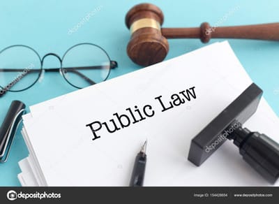 Derecho público y sus ramas