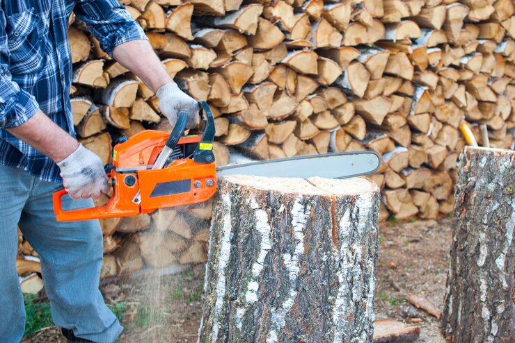 Tree Removal: What to Expect From the Removal Process