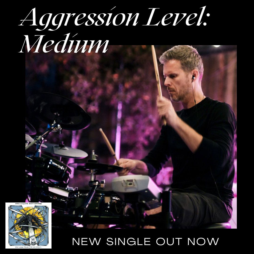 Norwegian Soft Kitten New Single Release