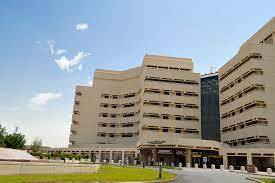 King Abdulaziz University