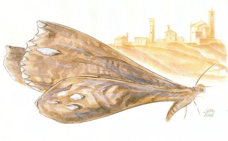 XXIV CONCORSO NAZIONALE DI POESIA E NARRATIVA GUIDO GOZZANO