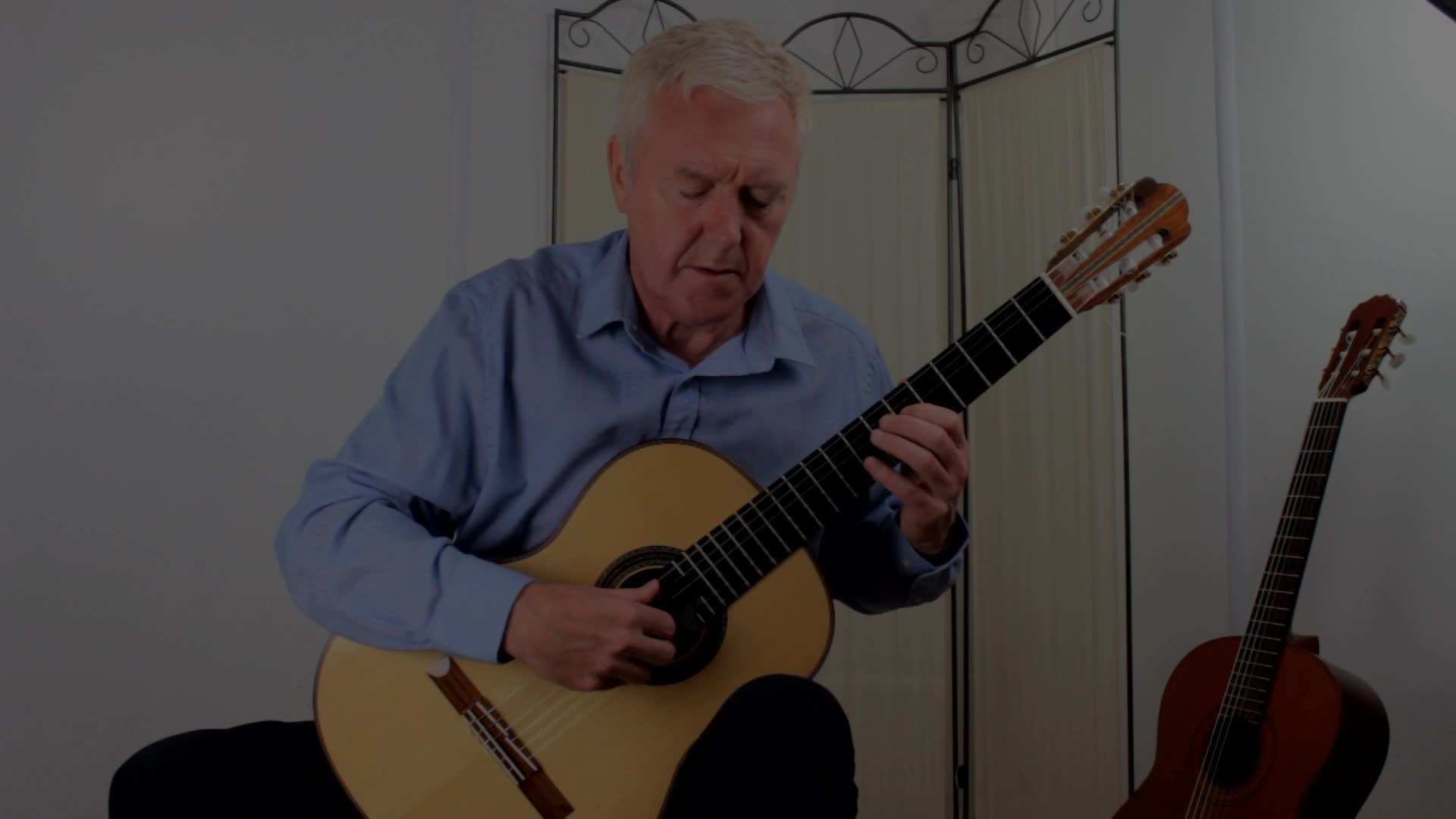 Birds Flew Over the Spire