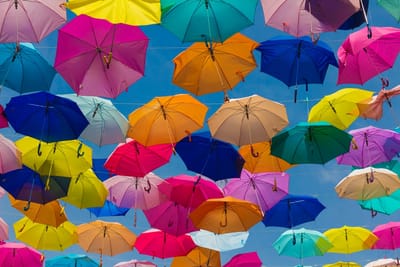 allaboutinsurance image