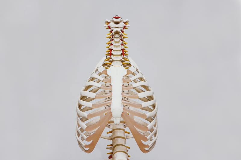 Cosa tratta l'osteopatia: