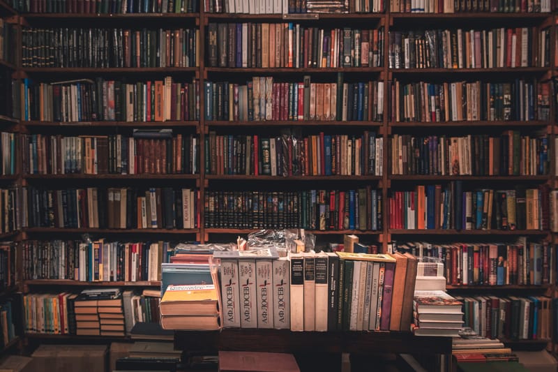 About the Author