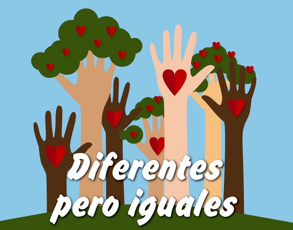 SOCIEDAD INCLUSIVA