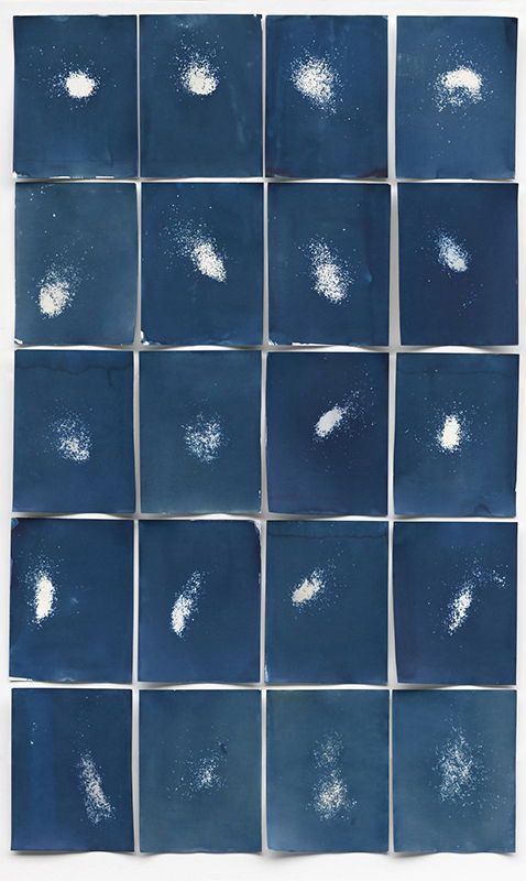 ״Epidermis” III, 160  x 110 cm, Cyanotype, scanning, 2018