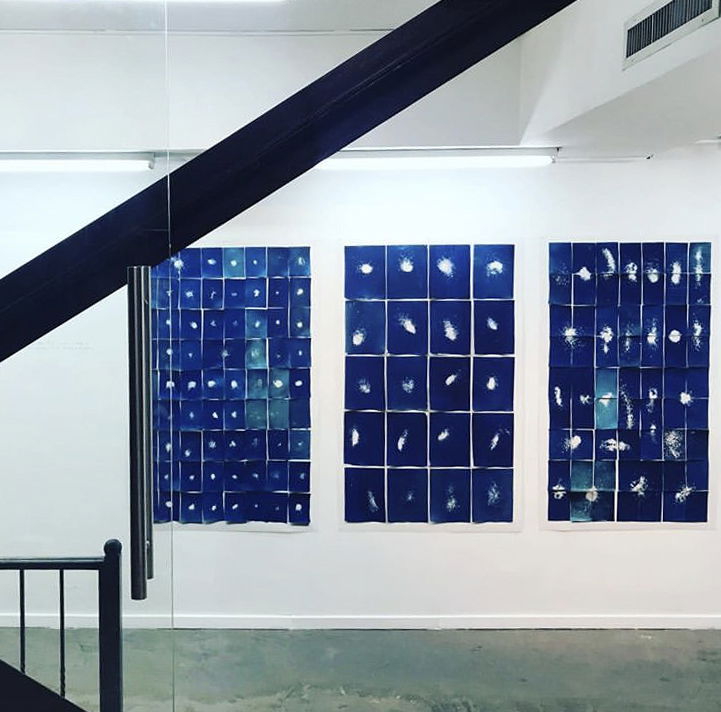 Epidermis I, II, III, Triptych, cyanotype, Installation view, 2019