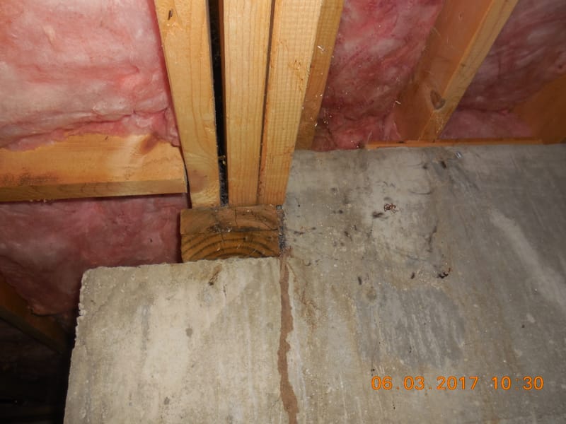 Inspections & CONSULTING