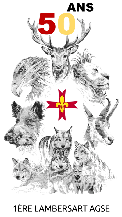 50 ans du groupe ! image