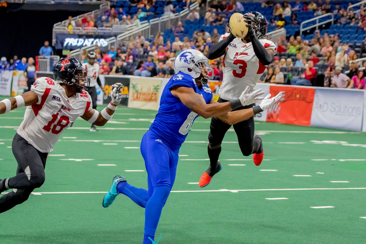 Dezariah Johnson: Orlando Predators