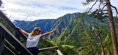 שלוקים מאוסטריה תחתית, סטיריה וקריניתיה
