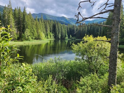 סלובקיה ודרום פולין אוגוסט 2023