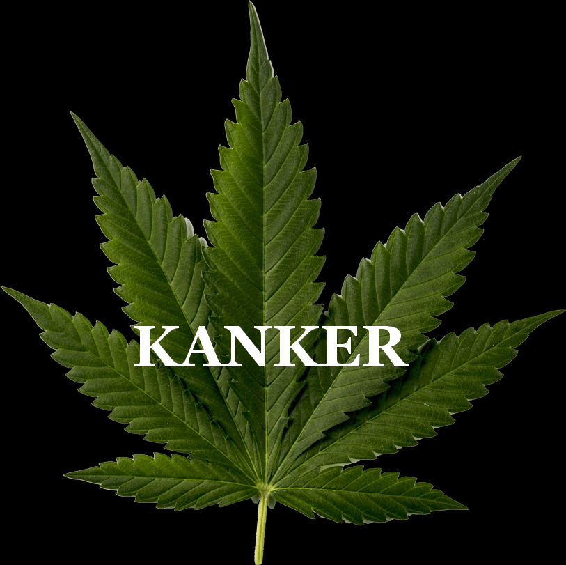 Cannabis en kanker