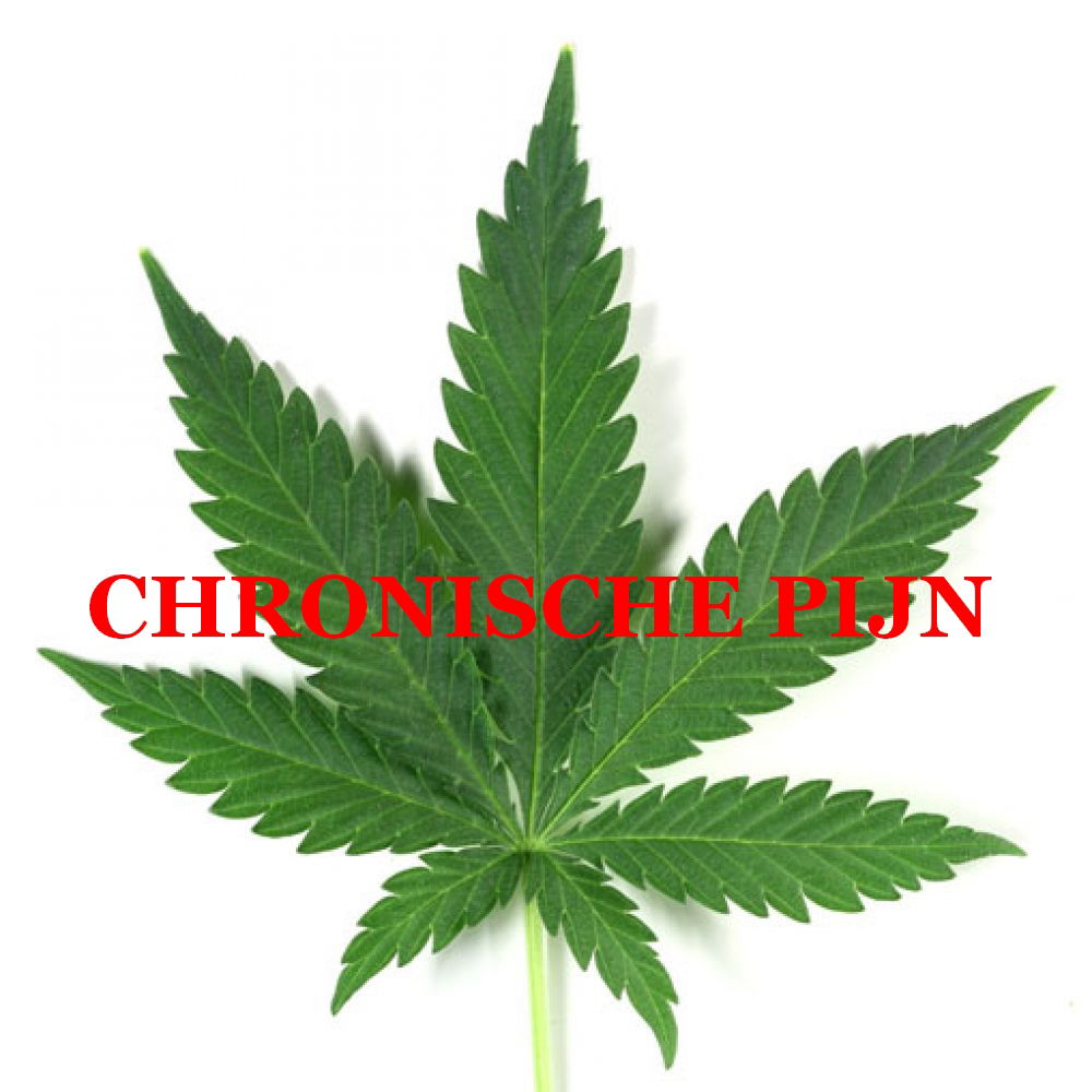 Cannabis en chronische pijn