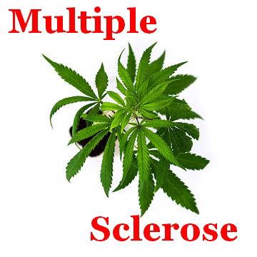 Cannabis en Multiple Sclerose