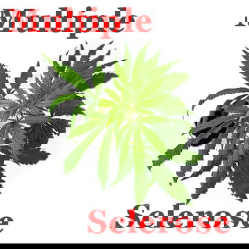 Cannabis en Multiple Sclerose
