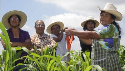 Mujeres trabajadoras: empoderando el campo