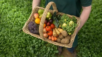 Ley de productos orgánicos en México