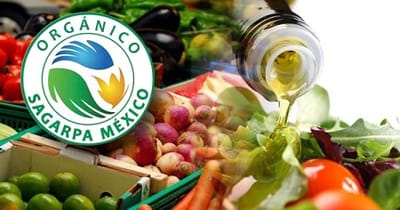 El Gobierno y Organismos de Certificación: