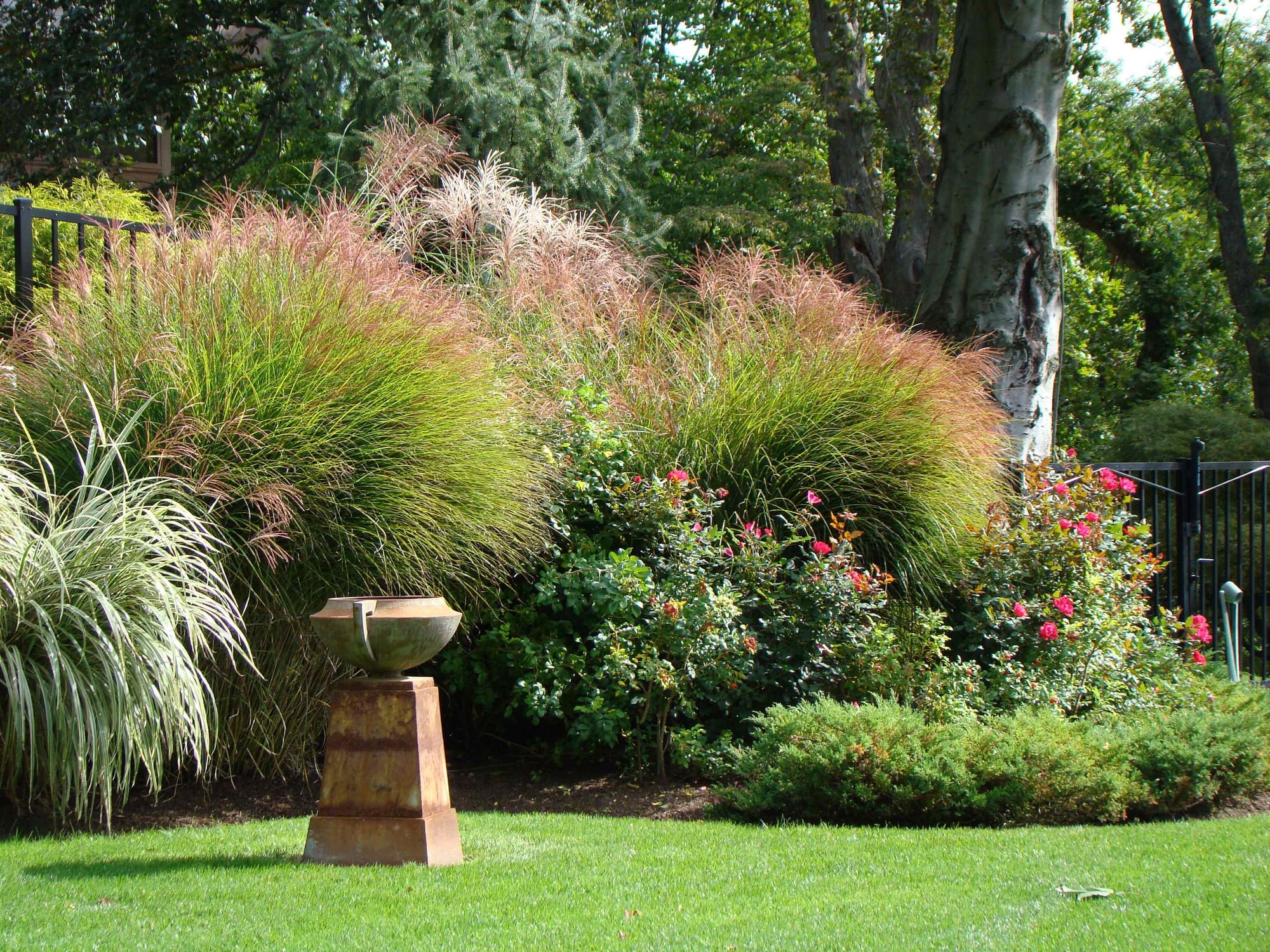 Don't Hire Landscaping Services without this Checklist