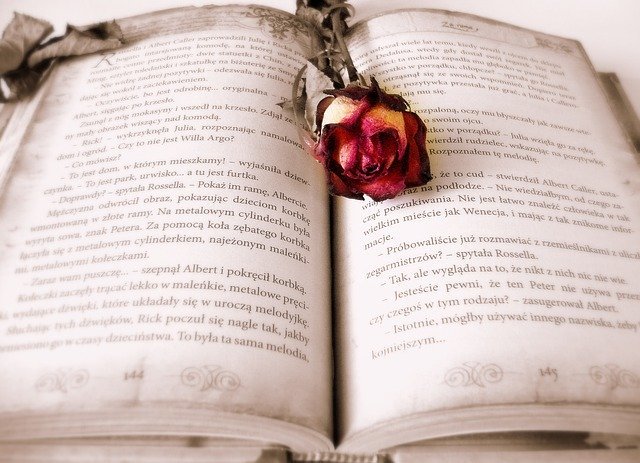2 novelas ideales para invertir en la lectura