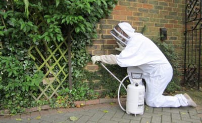 Guidelines to Choose a Professional Pest Control Company and Advantages of Doing so  image