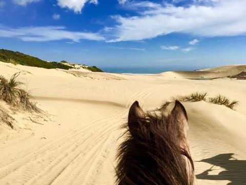 Trek for Life Fundraiser Trek