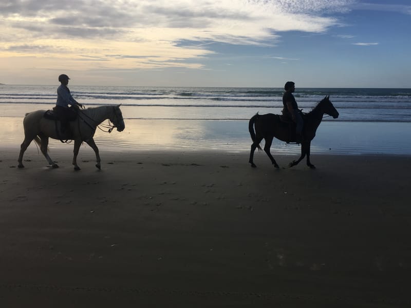 Ahipara Horse Treks