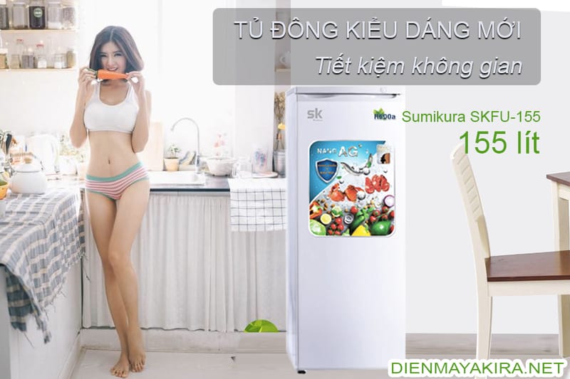 Mua tủ đông 100L – Chọn tủ đông nằm hay tủ đông đứng