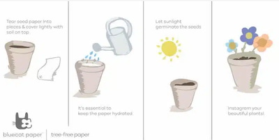 Sustainable Stationery Items and Plantable Cards Online