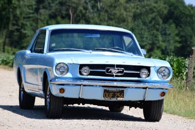 First Generation  image