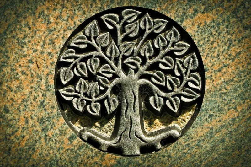 Tree of Life