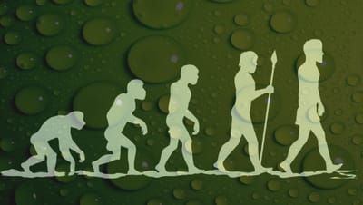 The Evolution of Humans
