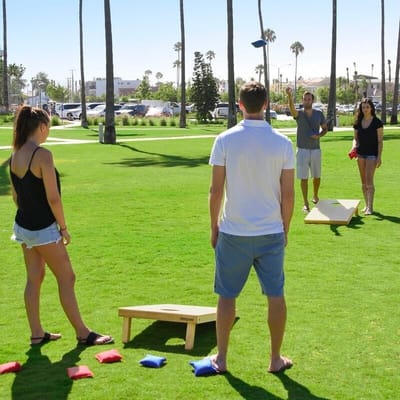 Online Vs Offline Shopping: Cornhole Game for Sale