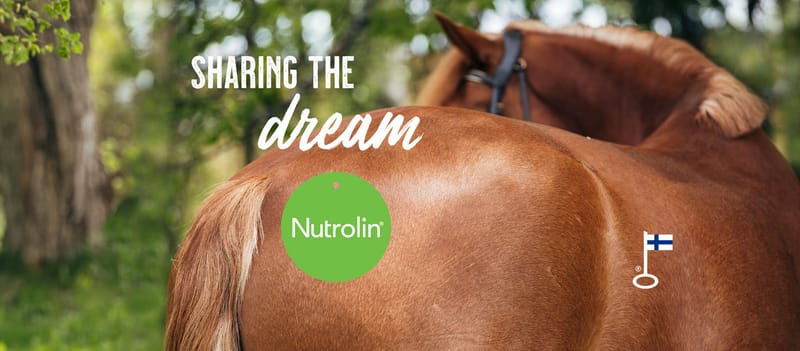 Suomenhevosten Laatuarvostelu