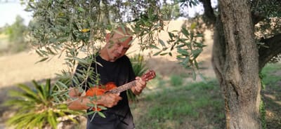 cursos de guitarra, ukulele Y bajo elètrico. image