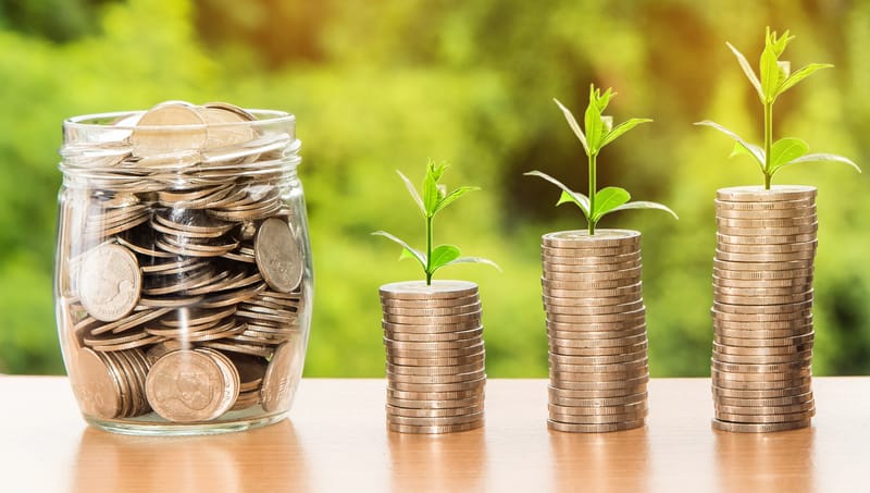 Economía y diversidad económica.