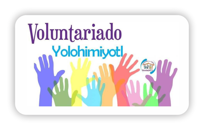 VOLUNTARIADO