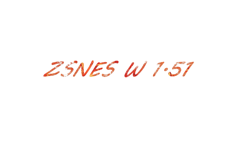 ZSNES for more than 794 different games!